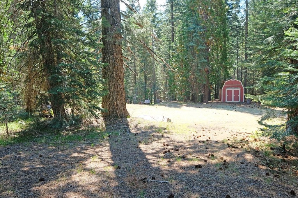 Picture 23