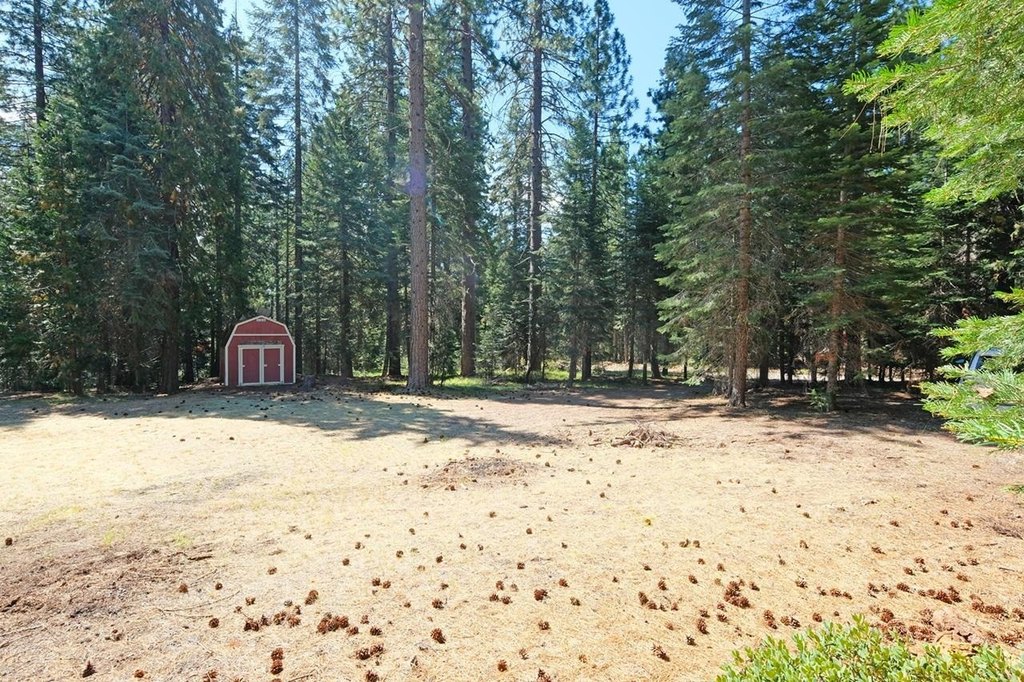 Picture 28
