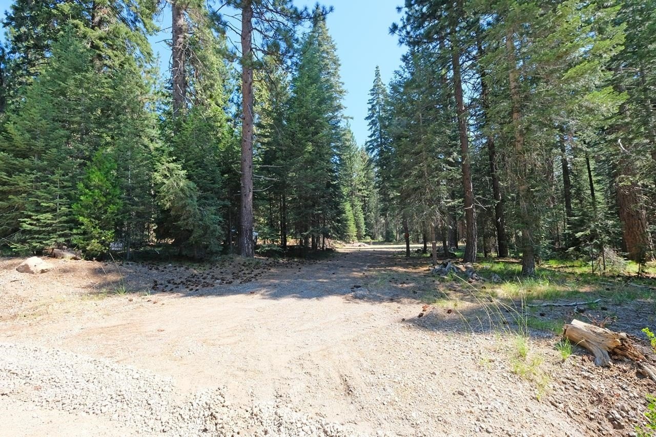 McCloud Land with Septic System
