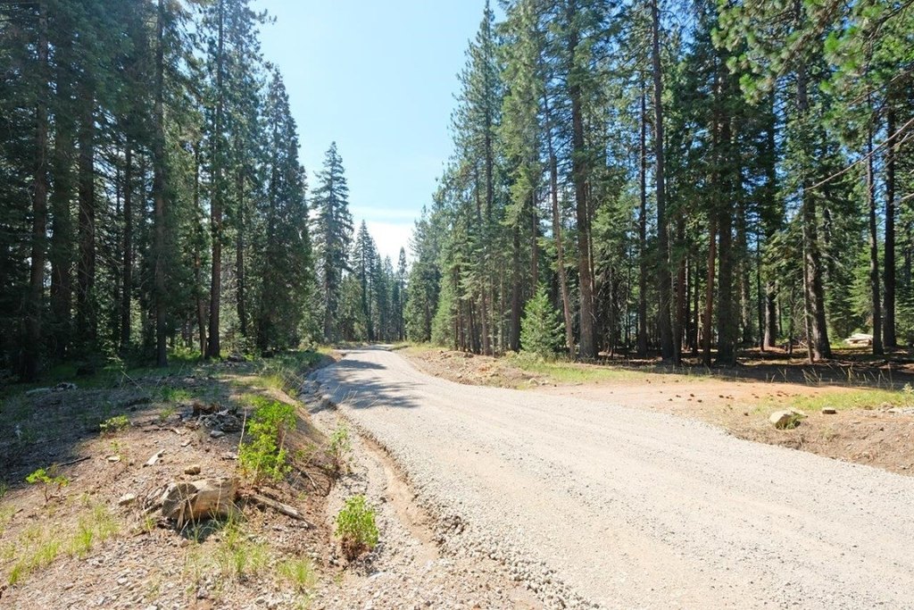 Picture 30