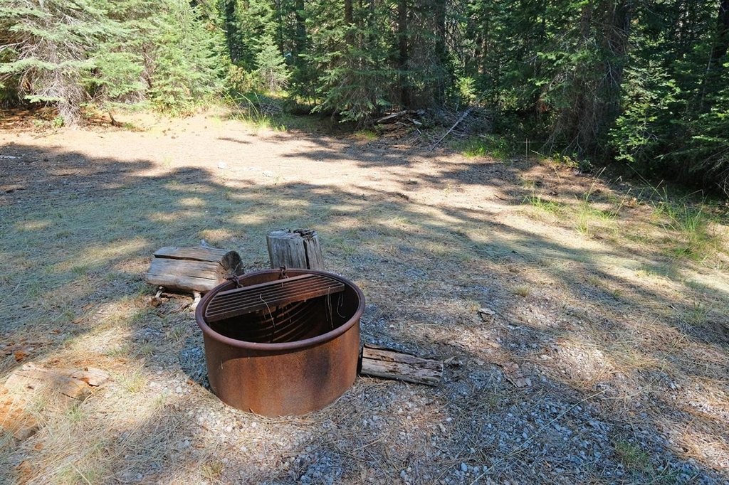 Picture 17