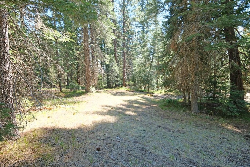 Picture 26