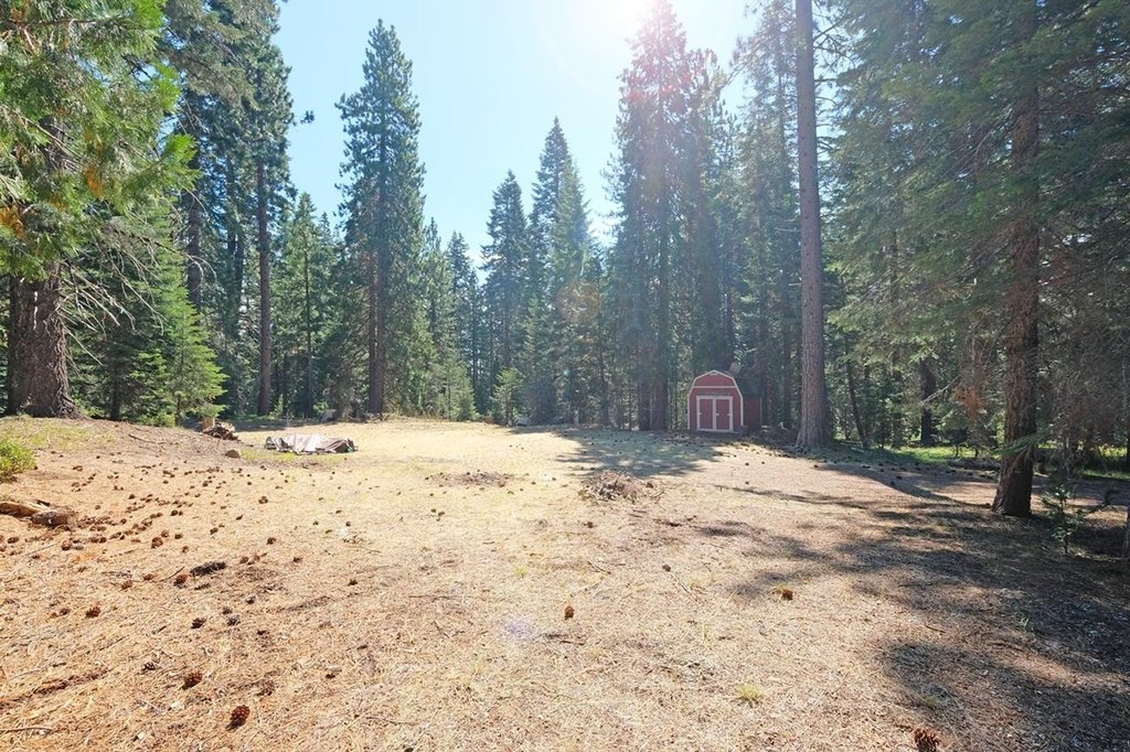 Picture 29