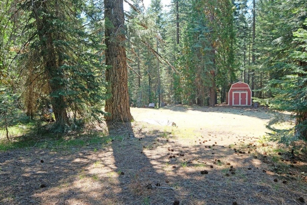 Picture 21