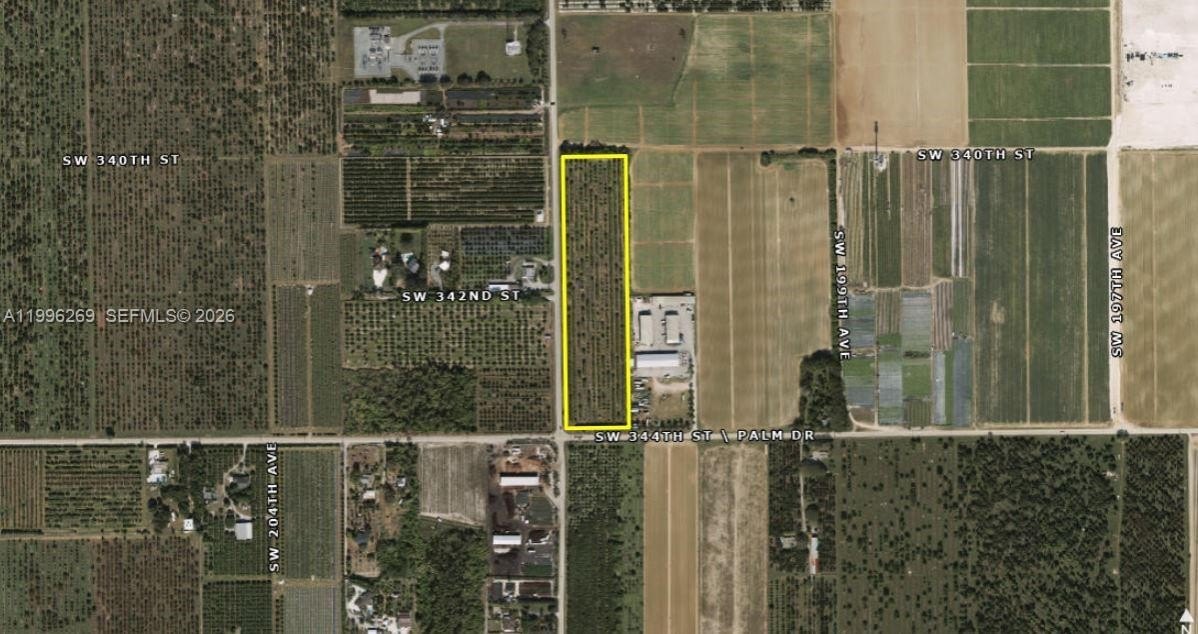 8.7 Acres Longan Grove