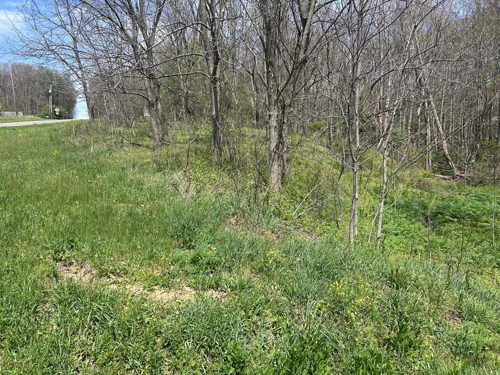 Picture 3
