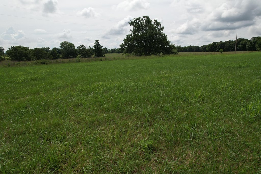Picture 32