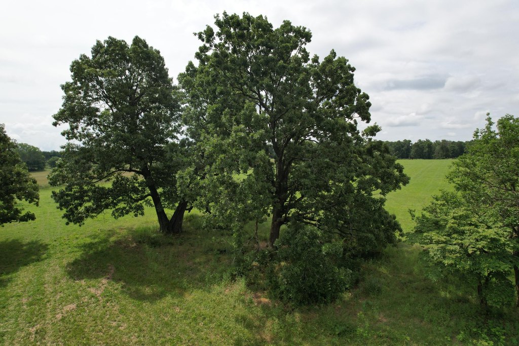 Picture 19