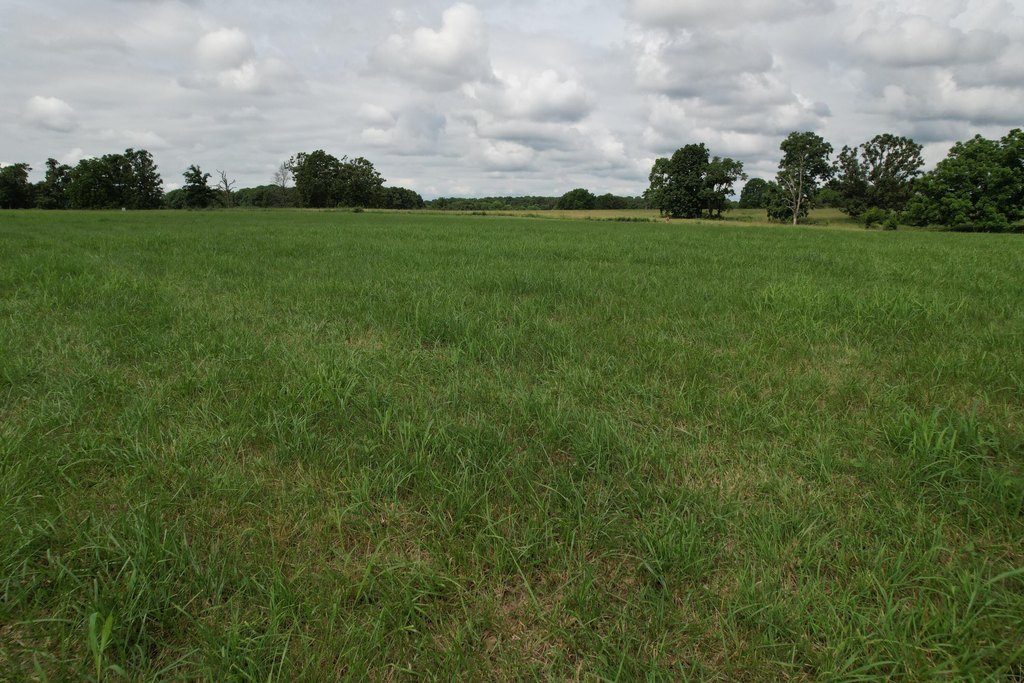 Picture 34