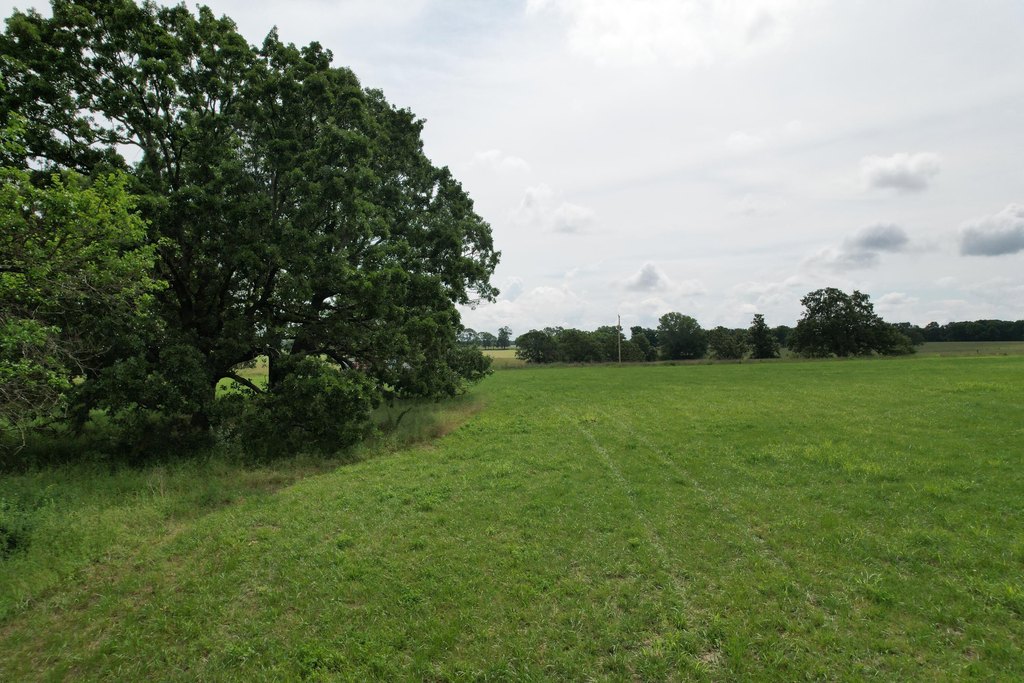 Picture 24