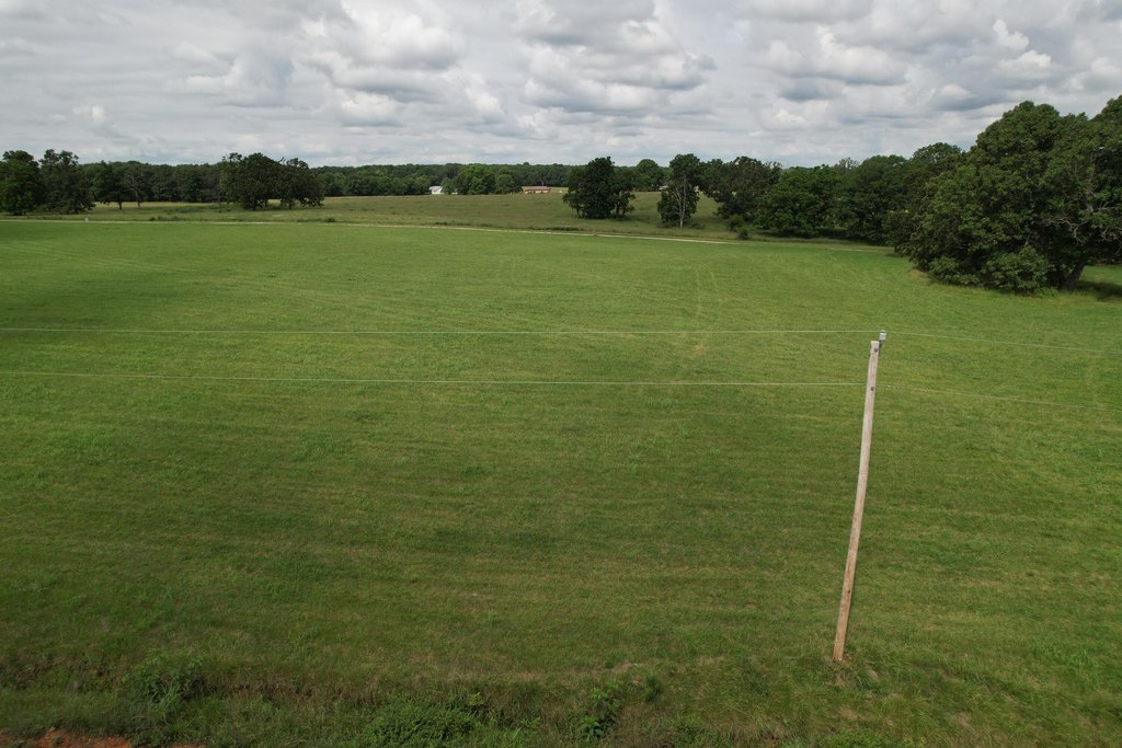 Picture 29