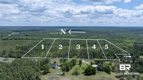 7.95 Acres in Phillipsville Knoll