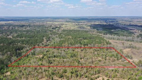 Secluded Hunting Land in Linden, TX