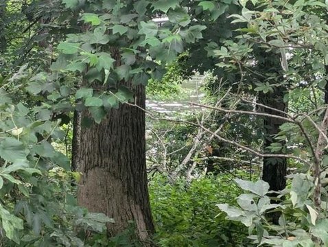 Waterfront Lot in Skypark Area