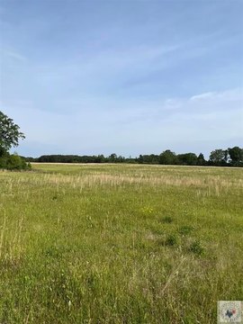 99.76 Acres of Land, Maud