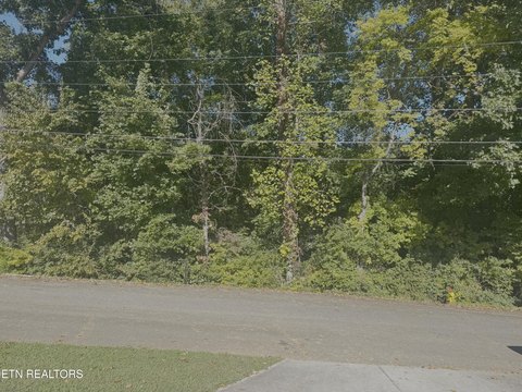 Lots & Acreage, Knoxville, TN