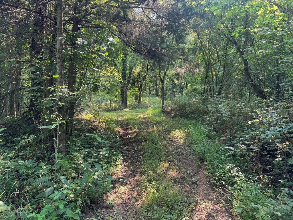 Picture 24