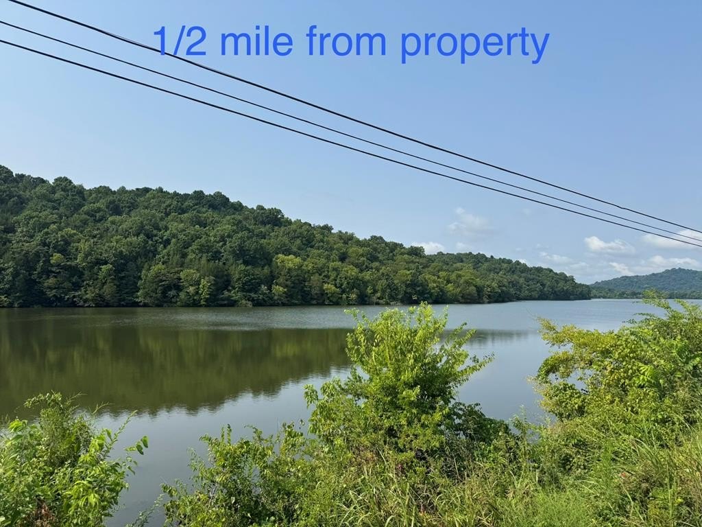 Picture 25