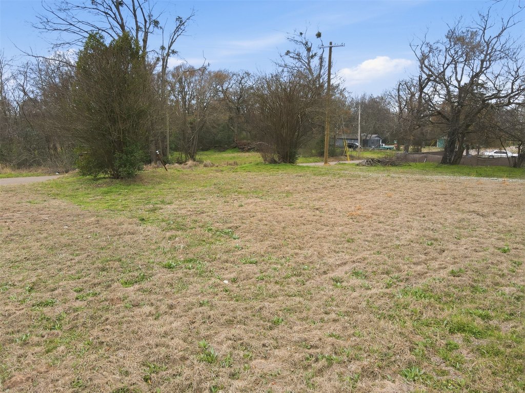 Picture 12