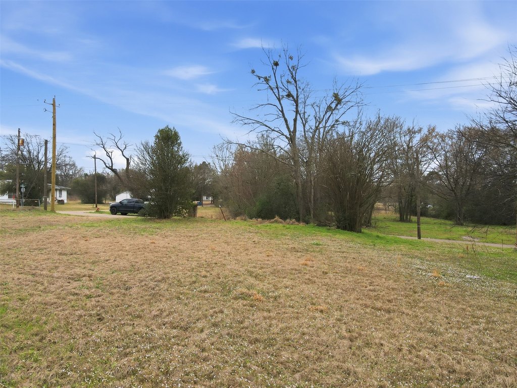 Picture 14