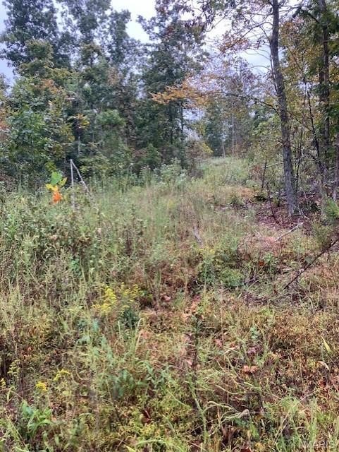 Ozark Oasis Acreage For Sale