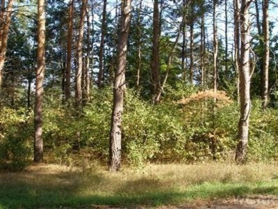 Residential Land in Canadian Lakes