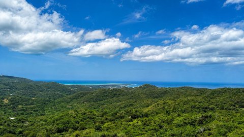 Zoned Rainforest Acreage Parcel