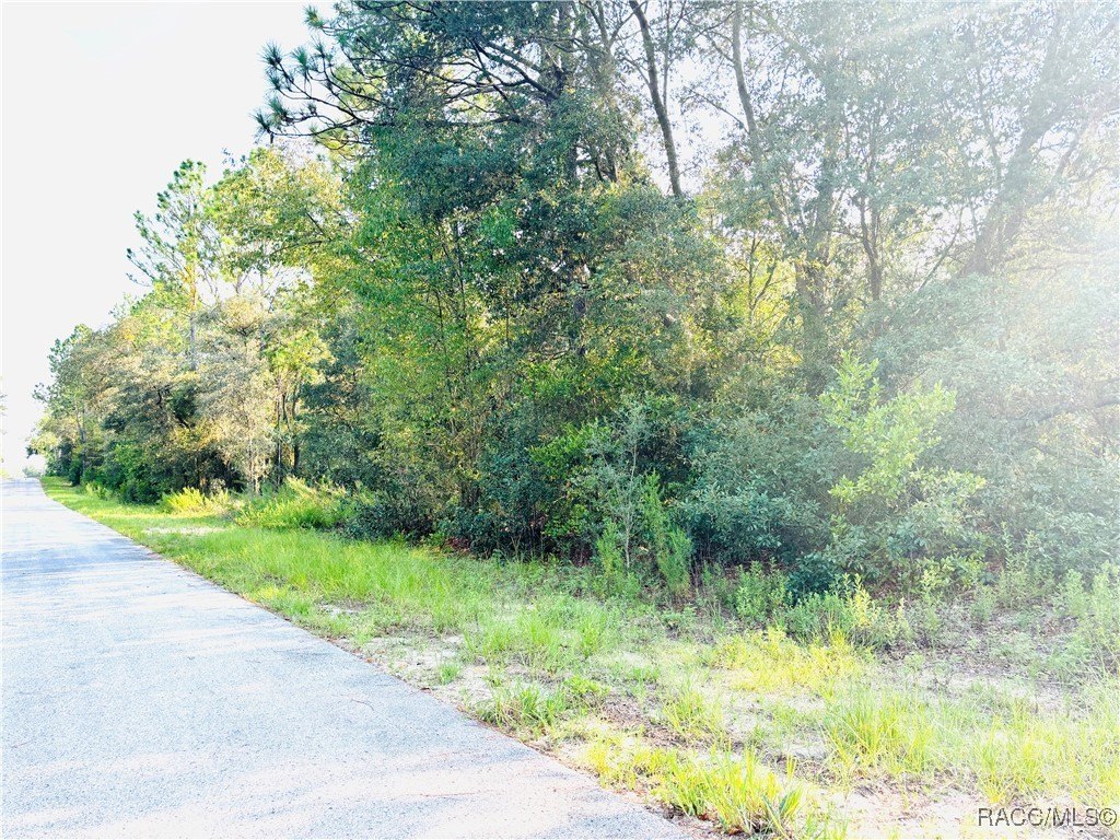 Land in Rainbow Lakes Estates