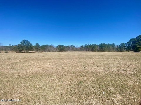 Lucedale Land with Highway Visibility