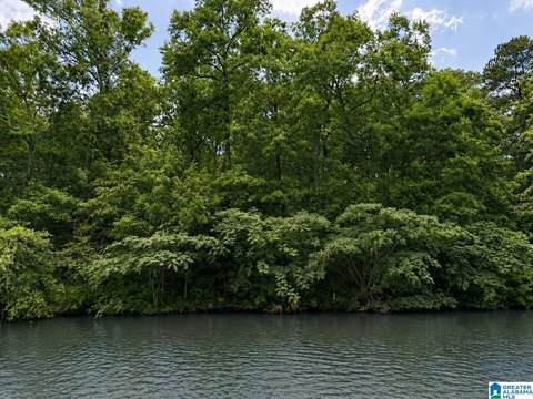 Unrestricted Lot Near Lake Wedowee