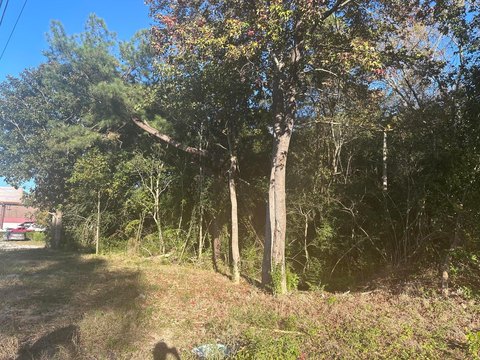 Moncks Corner Land For Sale