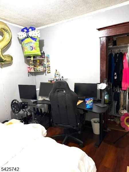 Picture 11