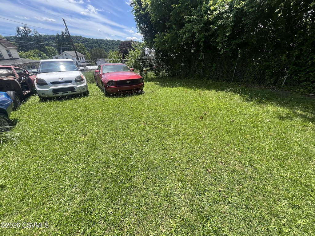 Picture 15