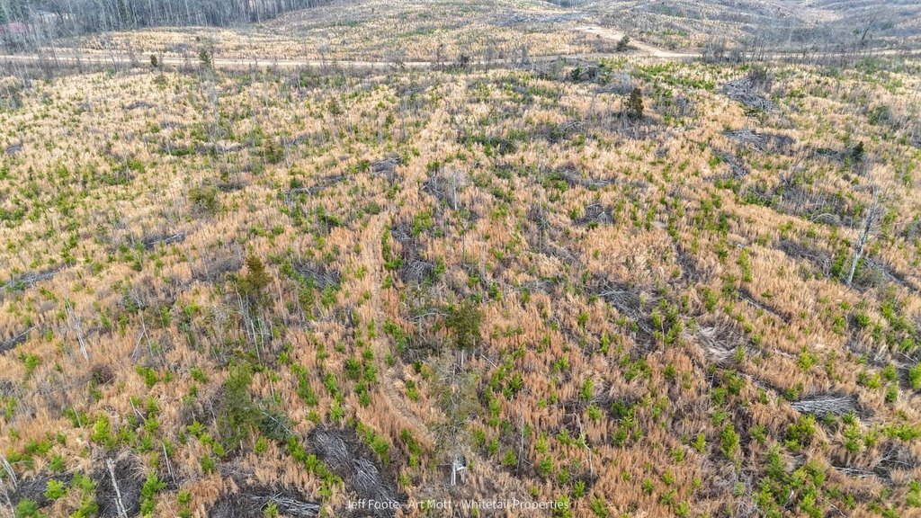 Picture 35