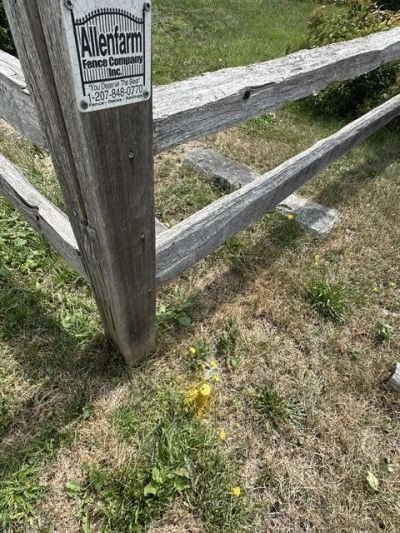 Picture 9