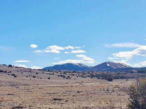 Concho, AZ Desert Land