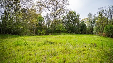 Woodville Hunting Land Opportunity