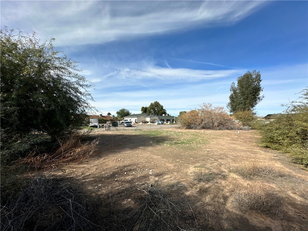 Picture 11