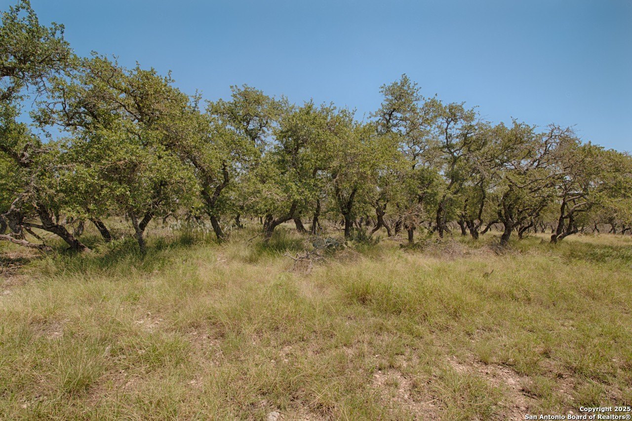 Harper, TX Land For Sale