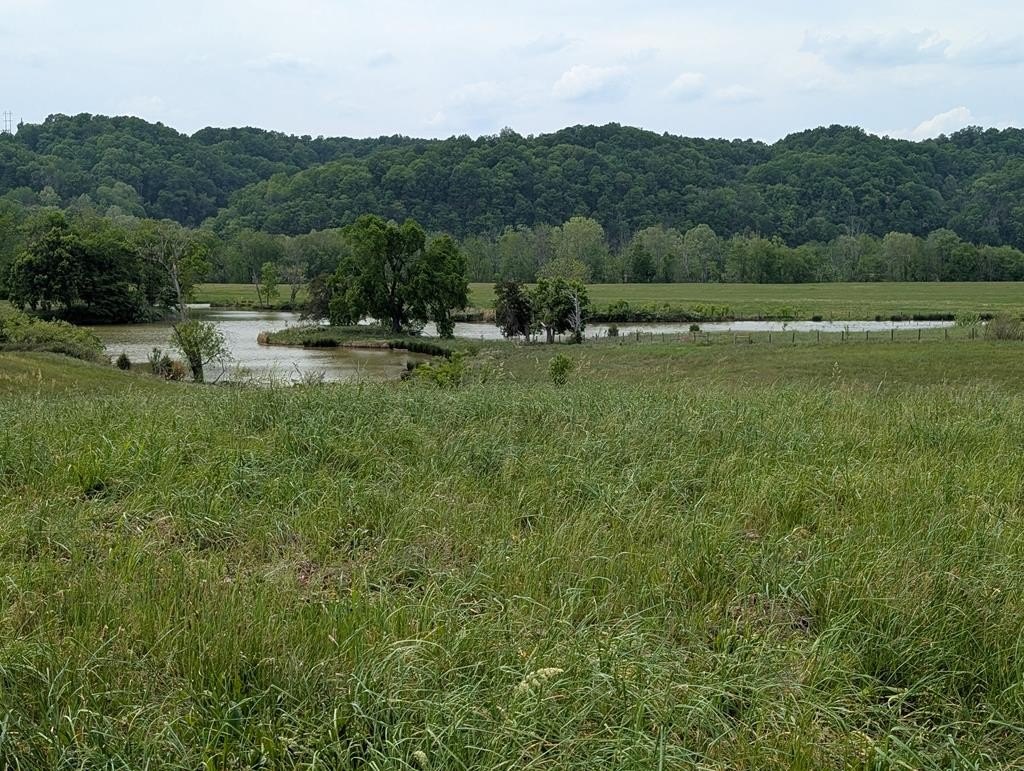 Burkesville, KY Building Lot