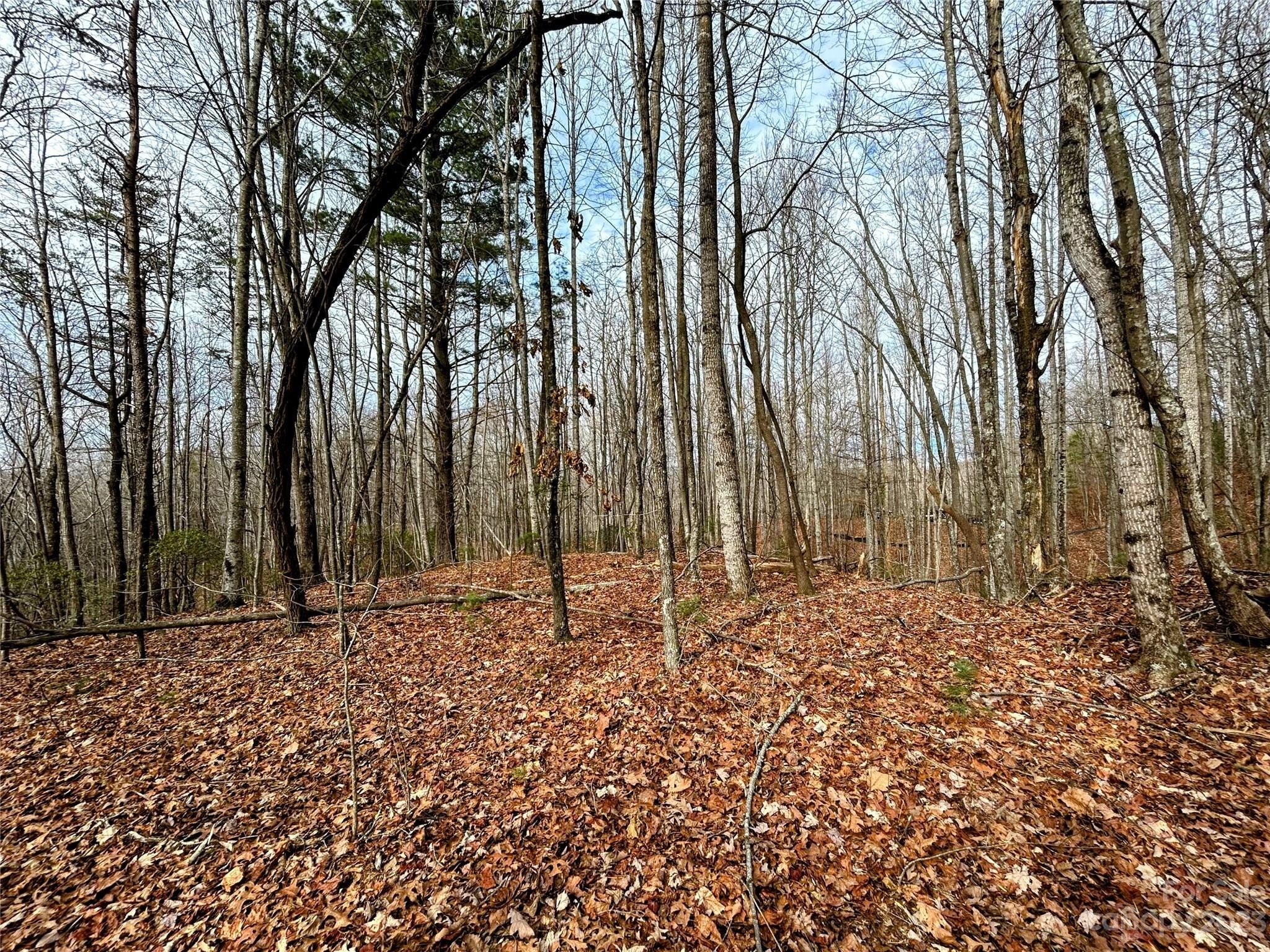 Land in Little Warrior Mountain