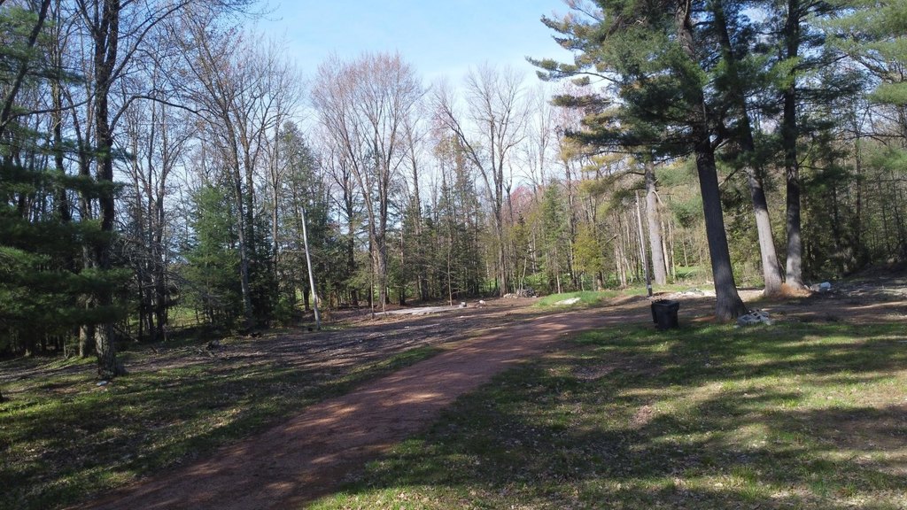 Picture 2