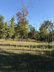 Land, Anderson, MO