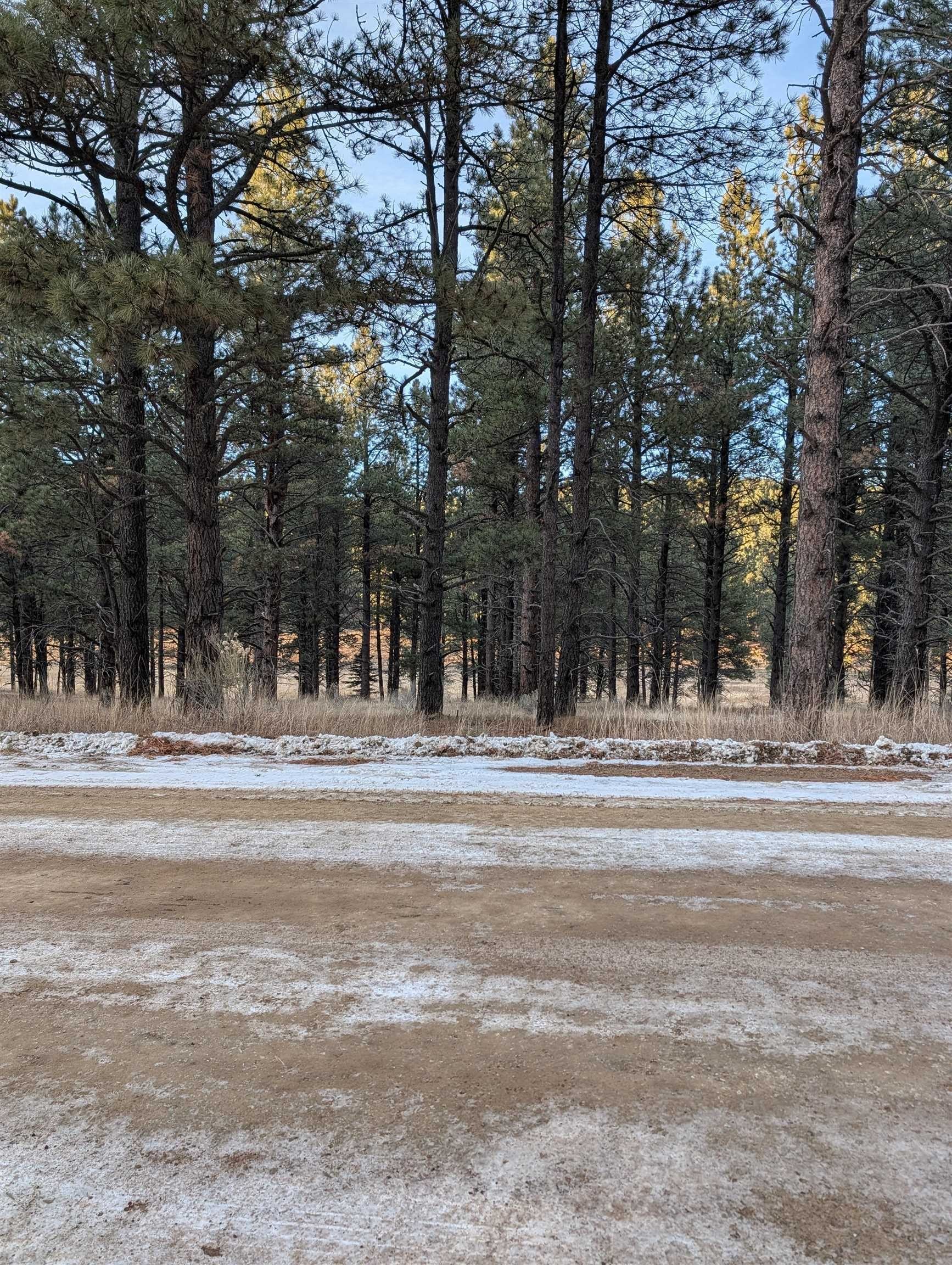 Gently Sloped Lot in Angel Fire