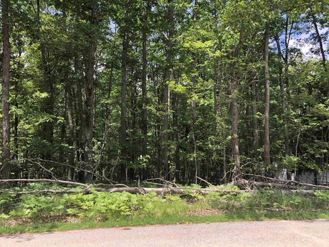 LAND - Roscommon, MI