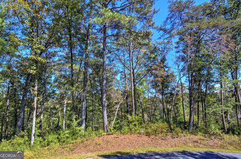 LAND - Ellijay, GA
