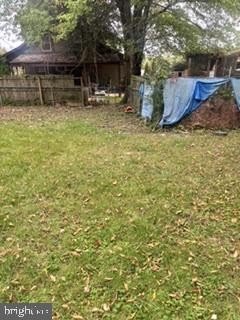 Picture 33