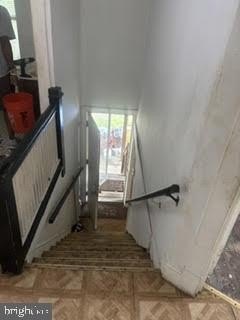 Picture 15
