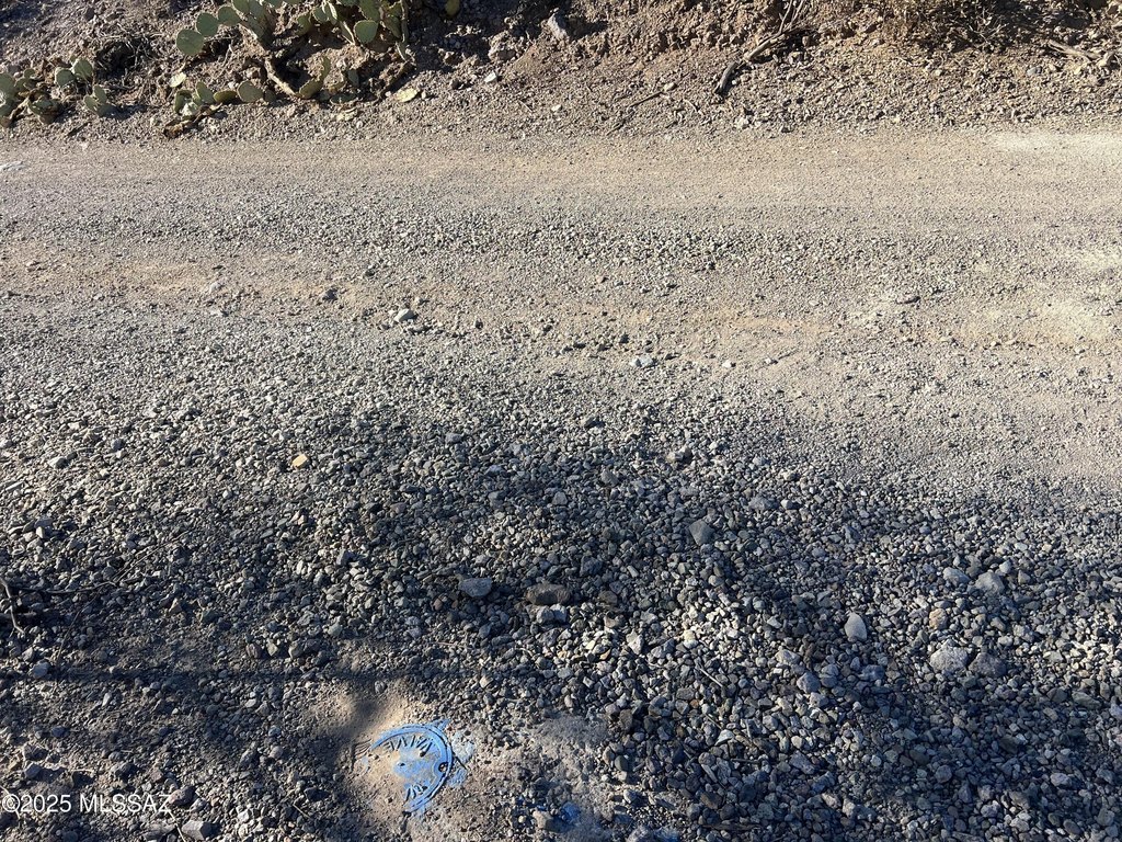 Picture 15