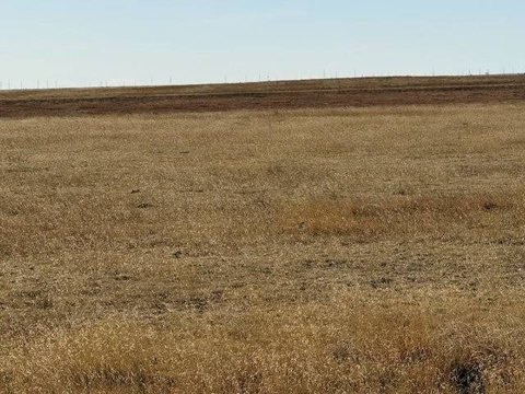 Flagler Vacant Land For Sale